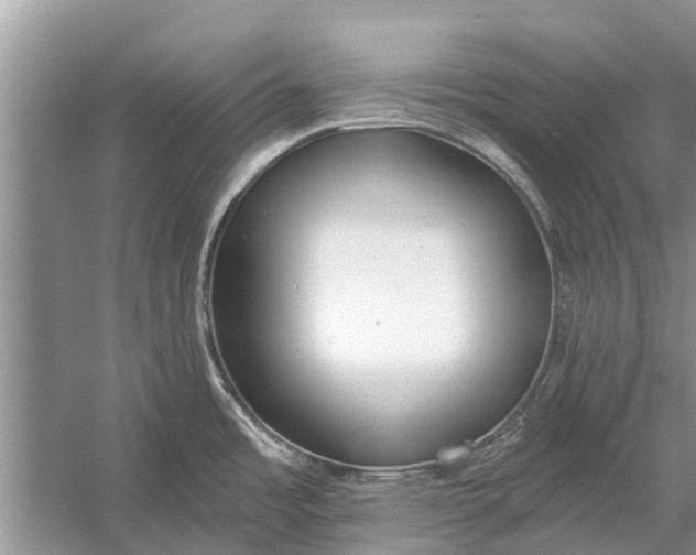 X0000056361485200509161815