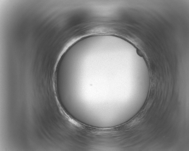 X0000056361486200509161815