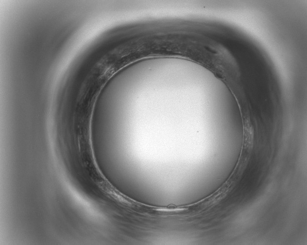 X0000056361487200509161815