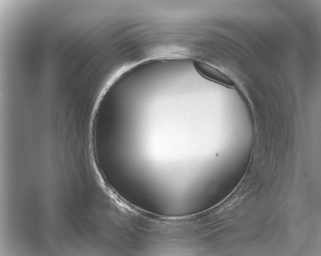 X0000056361488200509161815