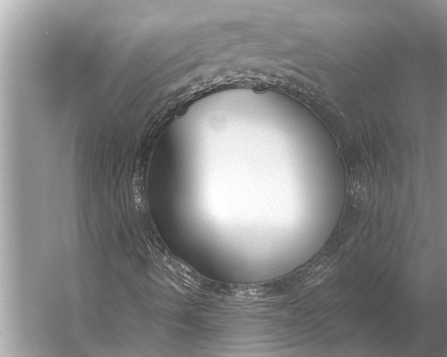 X0000056361490200509161814