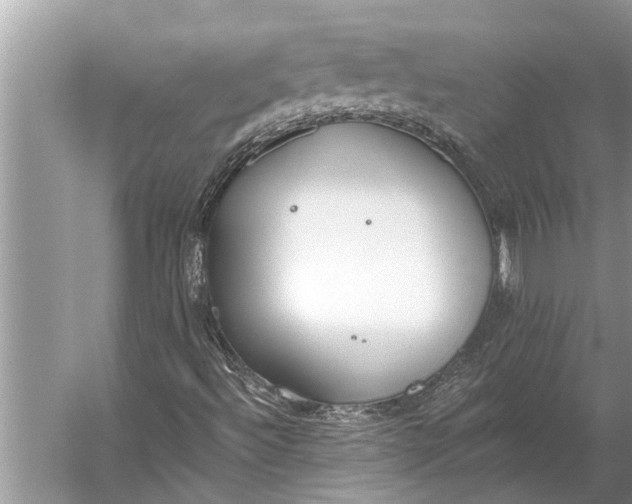 X0000056361492200509161814