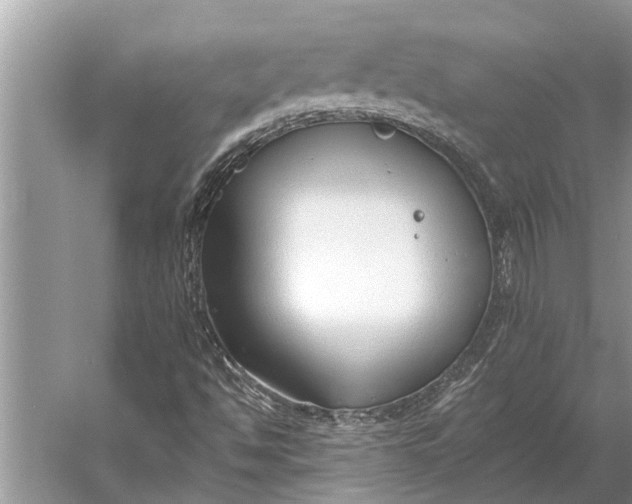 X0000056361494200509161814