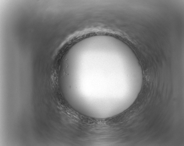 X0000056361495200509161814