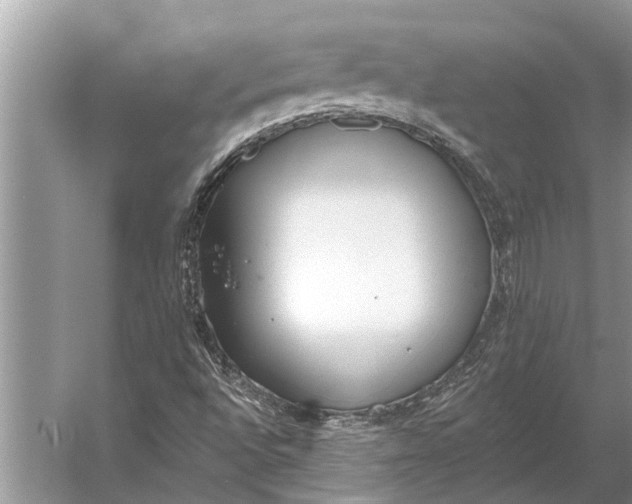 X0000056361496200509161814