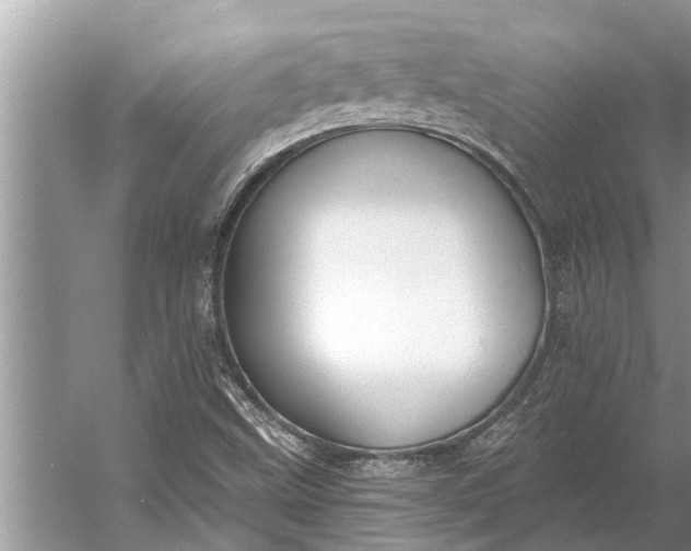 X0000056361499200509161814