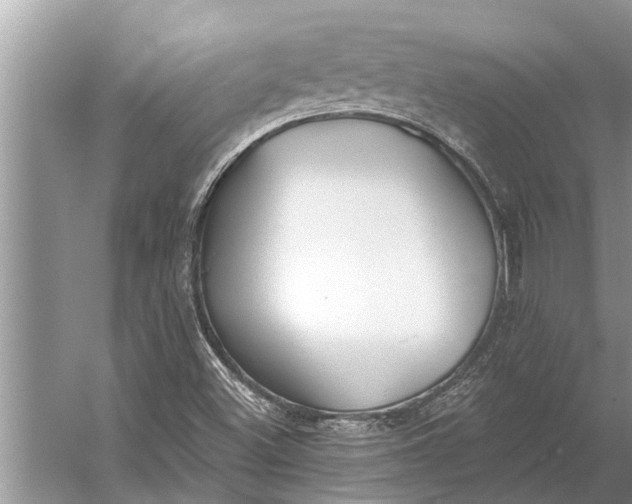 X0000056361500200509161814