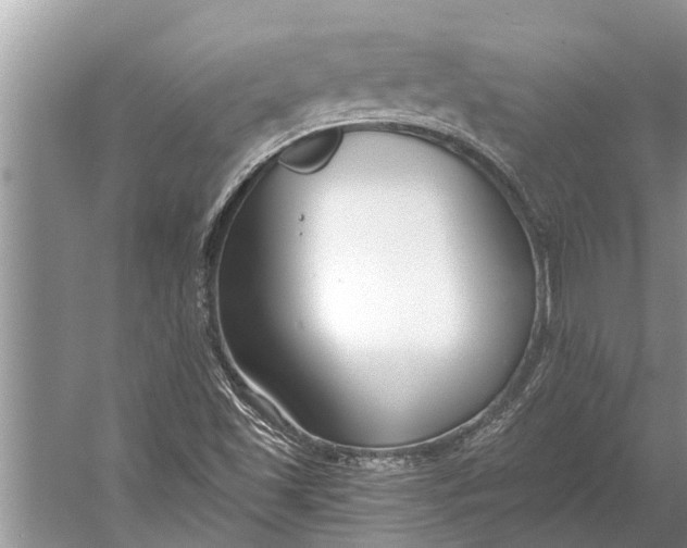 X0000056361501200509161814