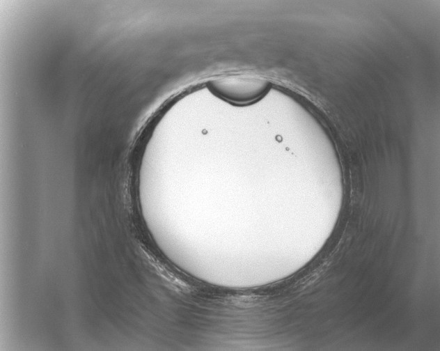 X0000056361502200509161814