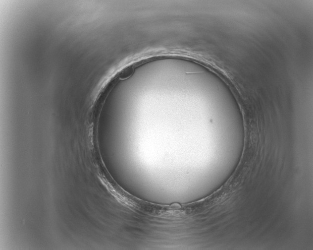 X0000056361503200509161814