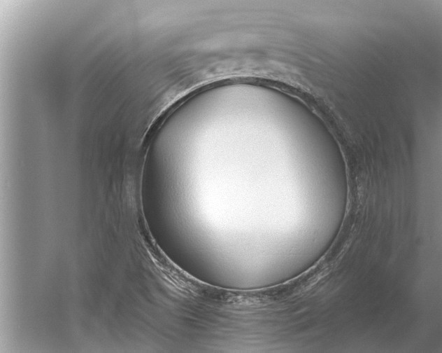 X0000056361505200509161814