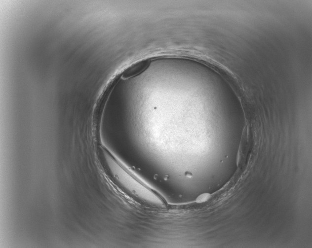 X0000056361506200509161814