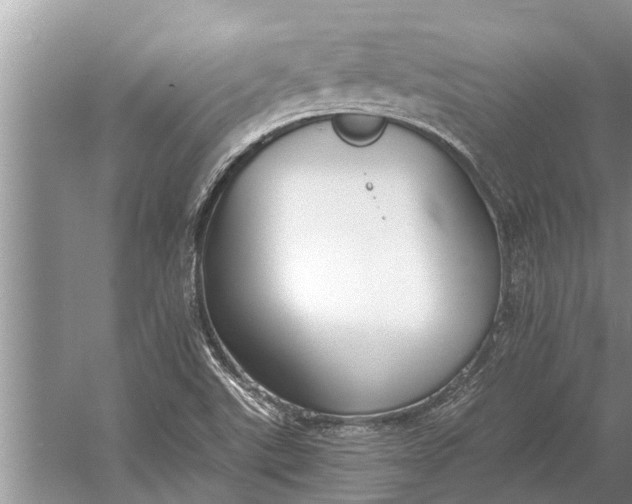 X0000056361507200509161814