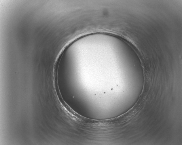 X0000056361508200509161814