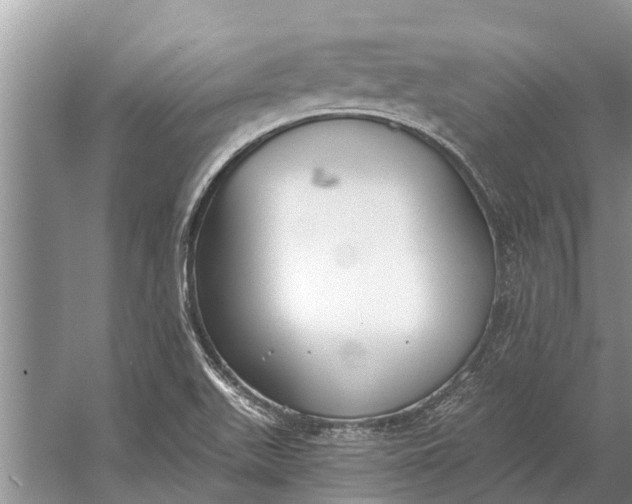 X0000056361511200509161814