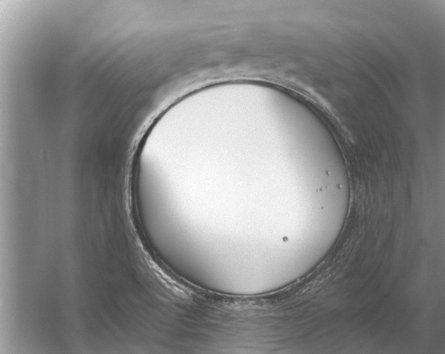 X0000056361512200509161814