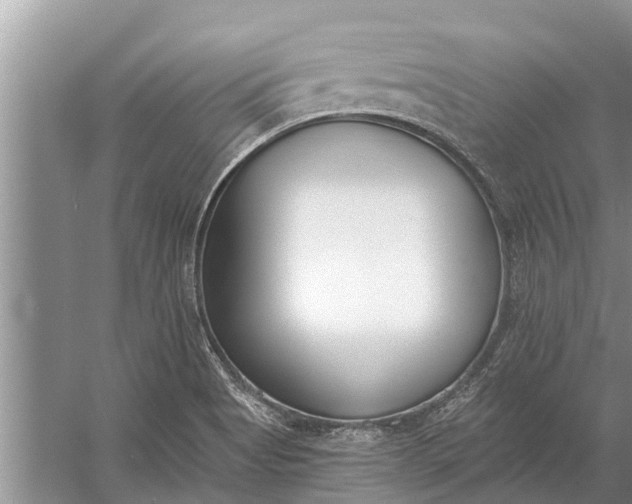 X0000056361513200509161814