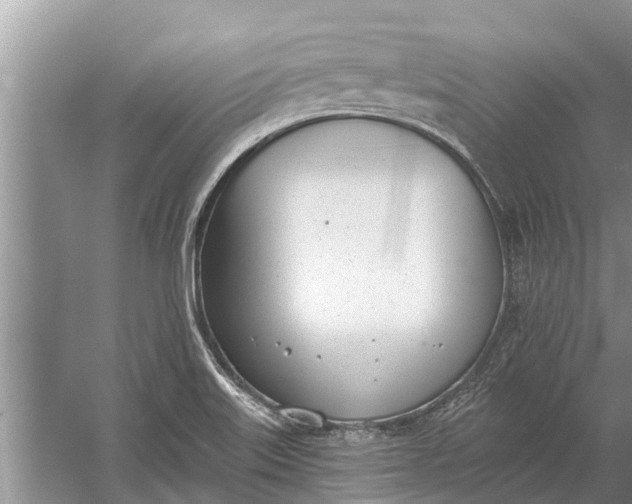 X0000056361515200509161814