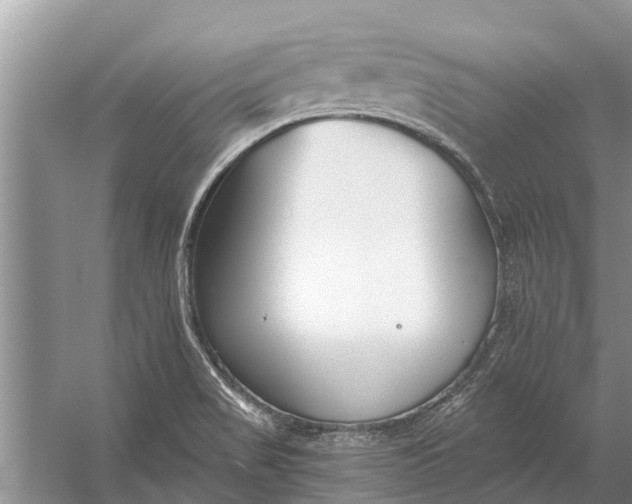 X0000056361517200509161814