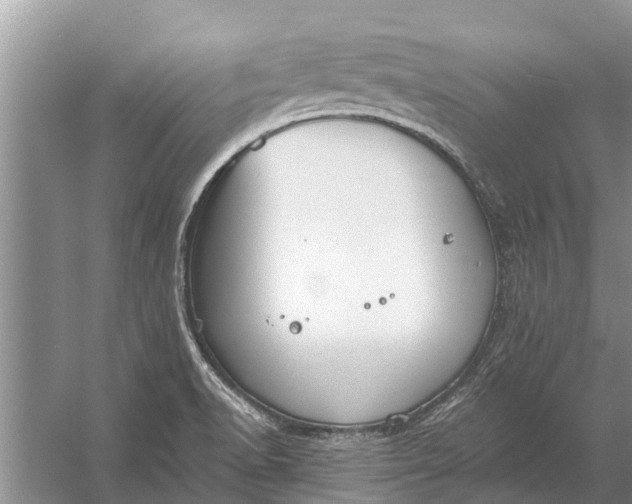 X0000056361518200509161815