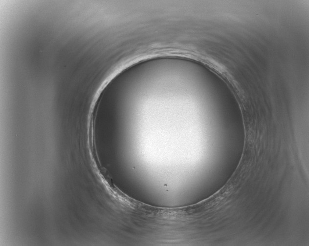 X0000056361520200509161815