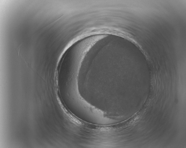 X0000056361522200509161815