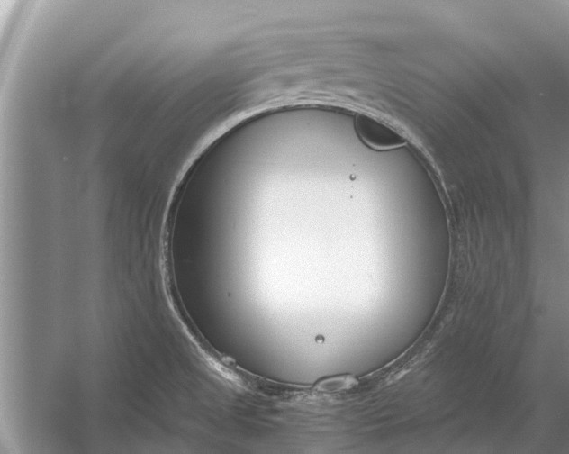 X0000056361525200509161815