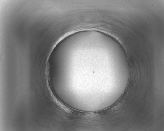 X0000056361526200509161815