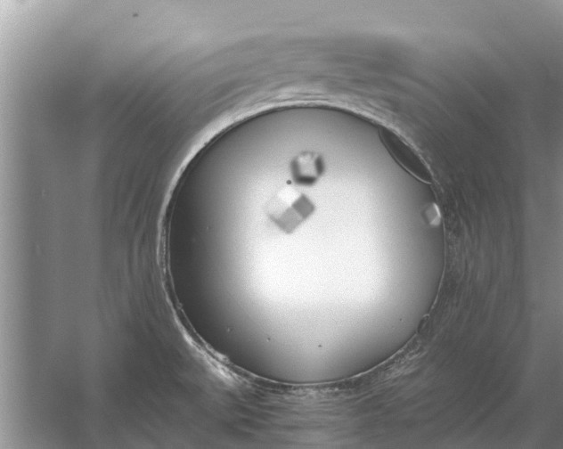 X0000056361527200509161815