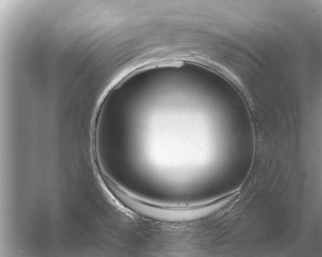 X0000056361528200509161815