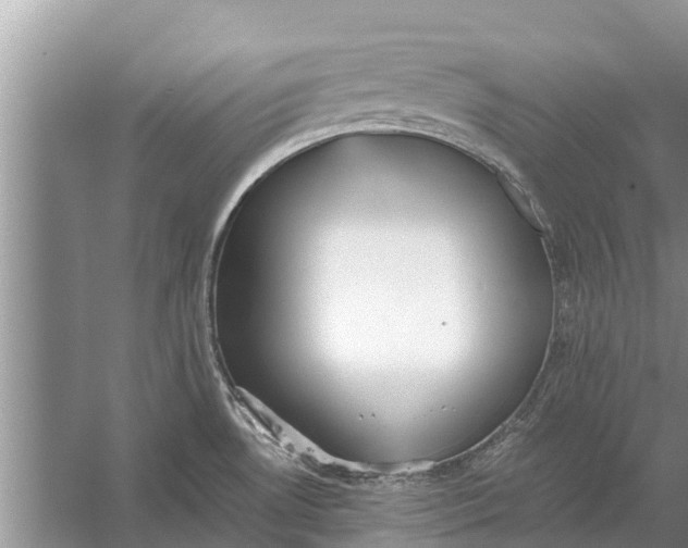 X0000056361530200509161815