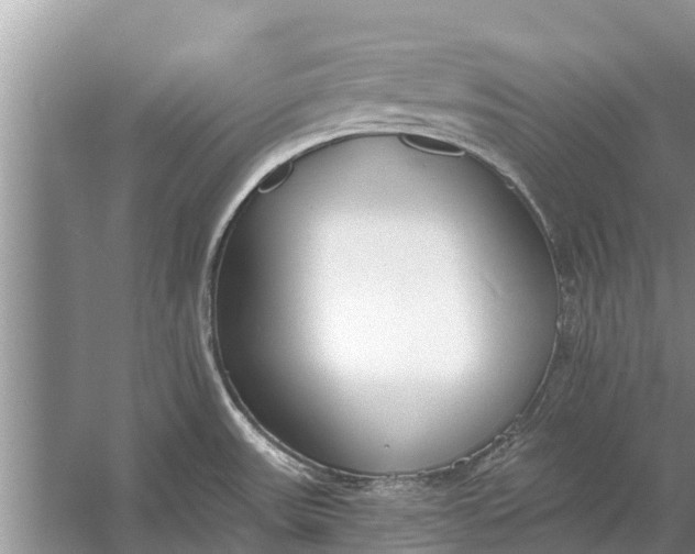 X0000056361531200509161815