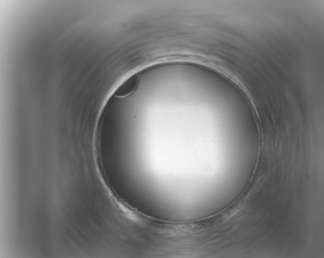 X0000056361533200509161815