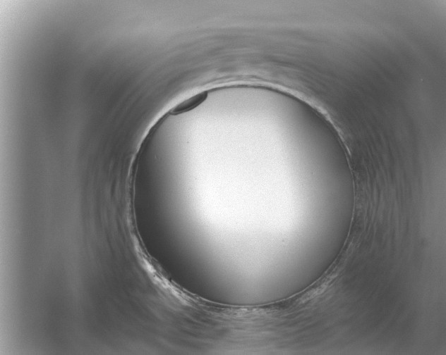 X0000056361534200509161815