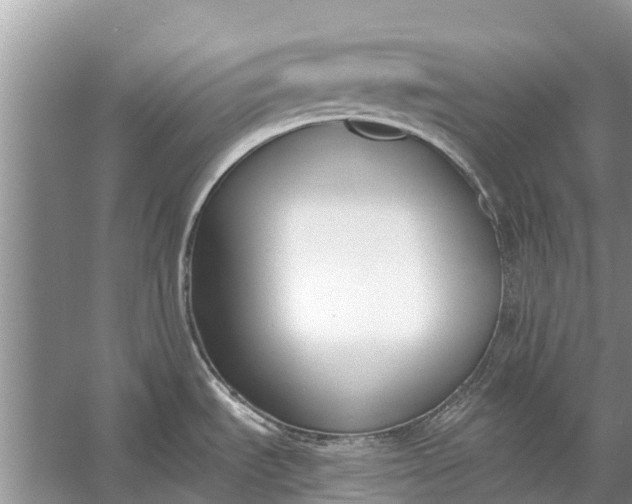 X0000056361535200509161815