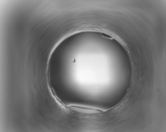 X0000056361536200509161815