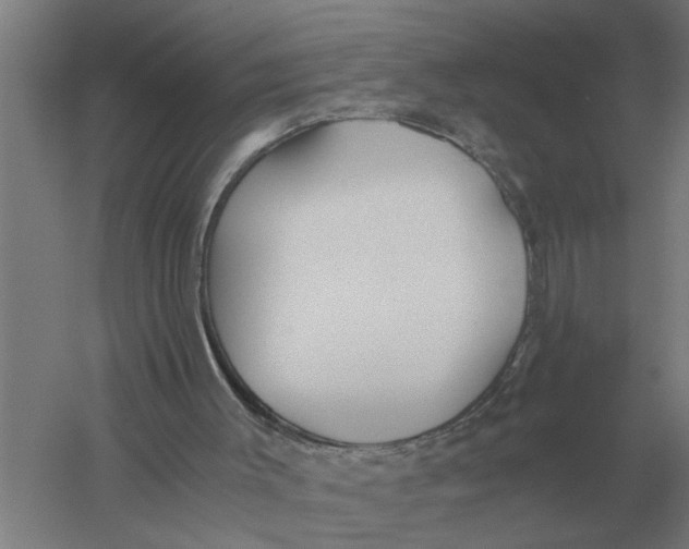 X0000056360003200509232144