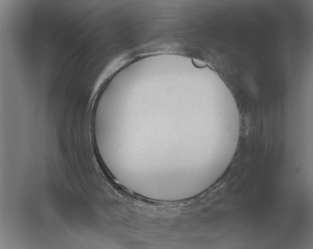 X0000056360004200509232144