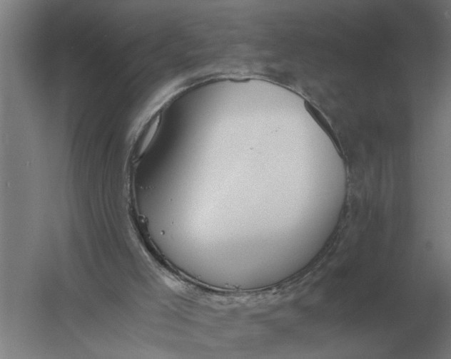 X0000056360005200509232144