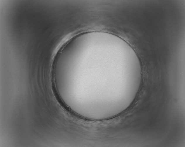 X0000056360007200509232144