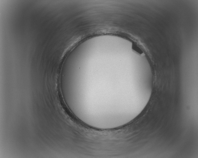 X0000056360010200509232143
