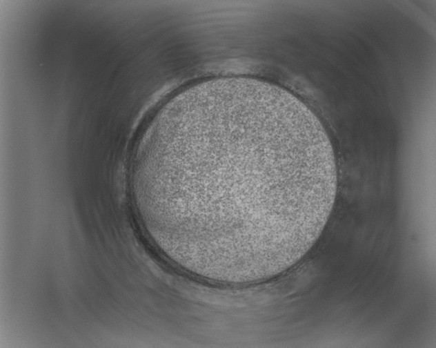 X0000056360012200509232143