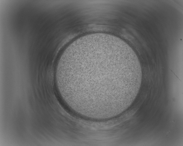 X0000056360016200509232143