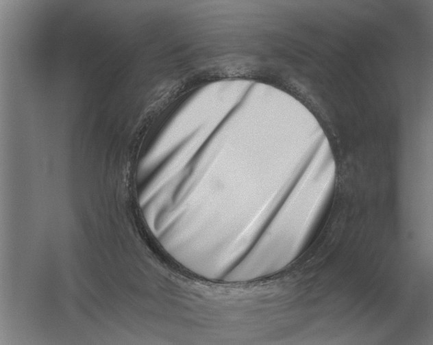 X0000056360018200509232143