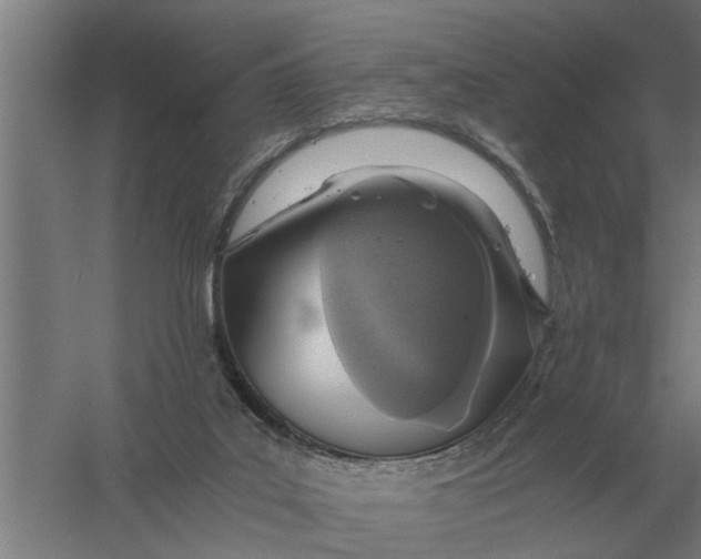 X0000056360019200509232143