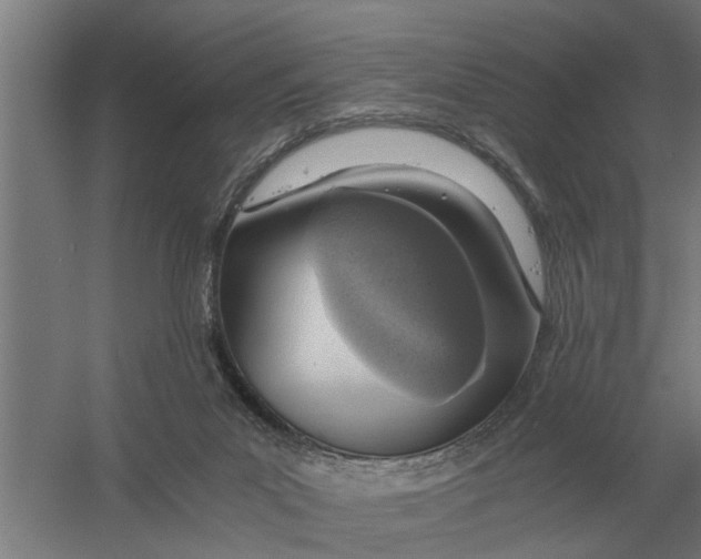 X0000056360023200509232143