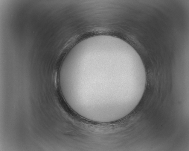 X0000056360024200509232143