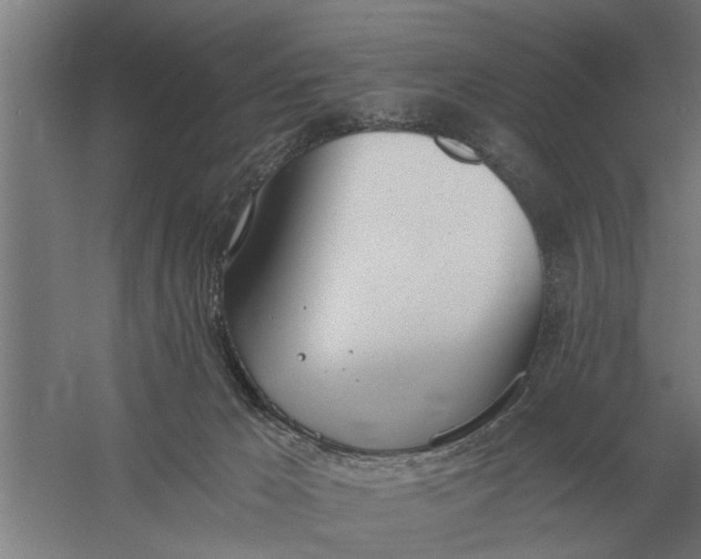 X0000056360029200509232143