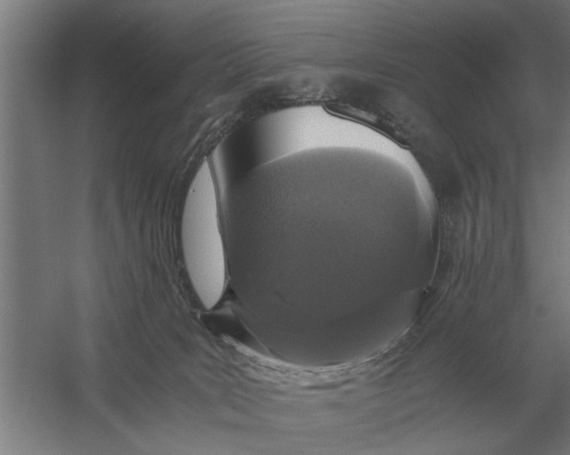 X0000056360035200509232143