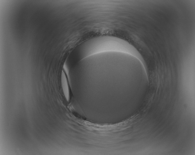 X0000056360039200509232143